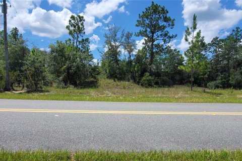 Land in Citrus Springs, Florida № 2231371 - photo 7