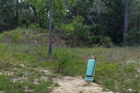 Land in Citrus Springs, Florida № 2231371 - photo 11