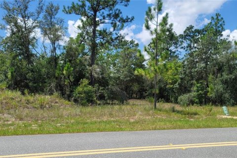 Land in Citrus Springs, Florida № 2231371 - photo 8