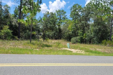 Land in Citrus Springs, Florida № 2231371 - photo 9