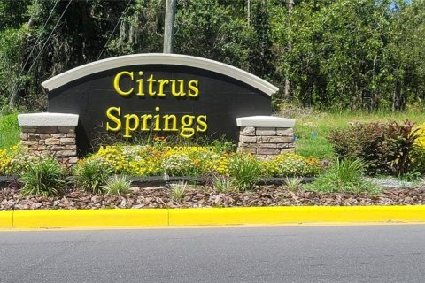 Land in Citrus Springs, Florida № 2231371