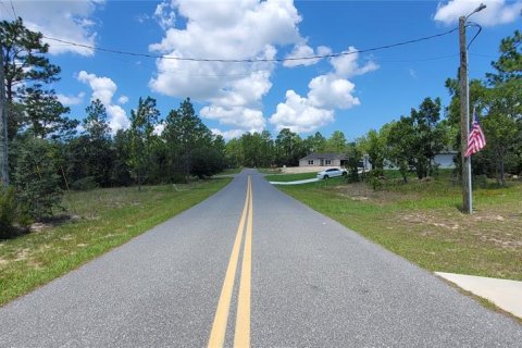 Land in Citrus Springs, Florida № 2231371 - photo 4
