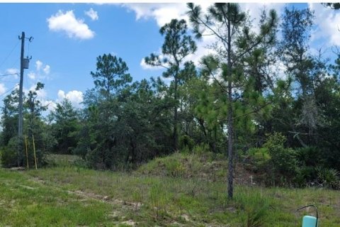 Land in Citrus Springs, Florida № 2231371 - photo 14