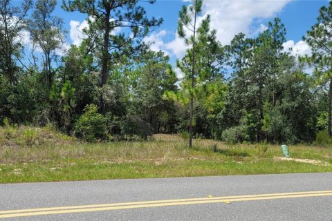 Land in Citrus Springs, Florida № 2231371 - photo 12