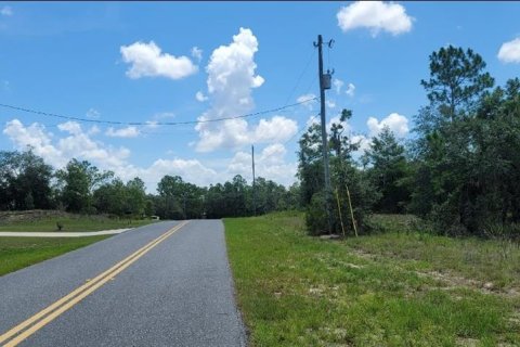 Land in Citrus Springs, Florida № 2231371 - photo 13