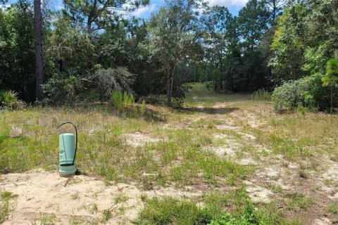 Land in Citrus Springs, Florida № 2231371 - photo 10