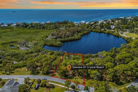 Terreno en Palm Harbor, Florida № 2121270