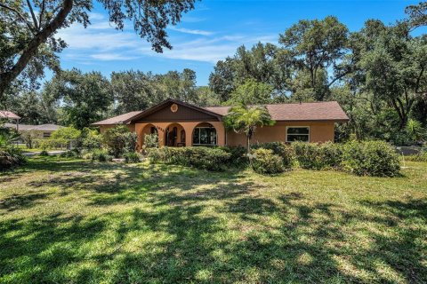 House in Lakeland, Florida 3 bedrooms, 172.8 sq.m. № 1757606 - photo 2
