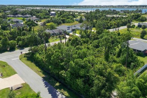 Terrain à Englewood, Floride № 2391150