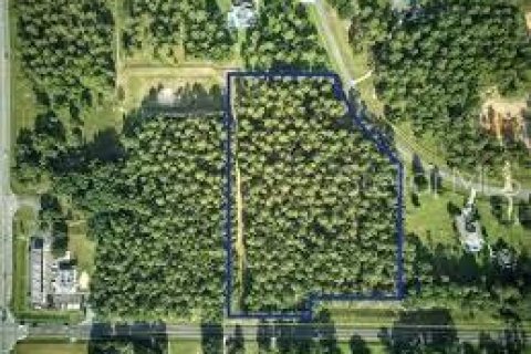 Terrain à Eustis, Floride № 2364747