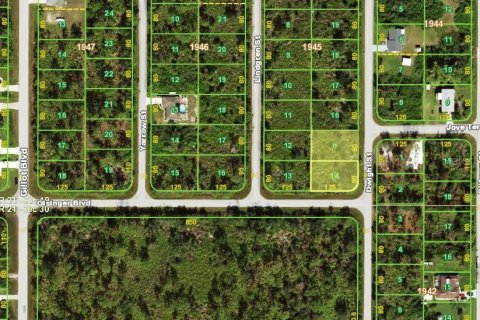 Land in Port Charlotte, Florida № 2163144