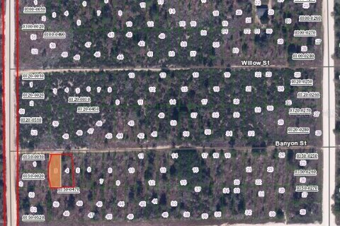 Land in Interlachen, Florida № 2161907 - photo 2