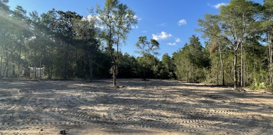 Land in De Funiak Springs, Florida № 558363
