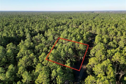 Terreno en venta en Ocala, Florida № 1719853 - foto 7