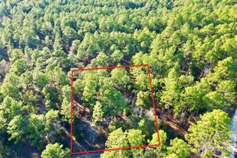 Terreno en venta en Ocala, Florida № 1719853 - foto 1