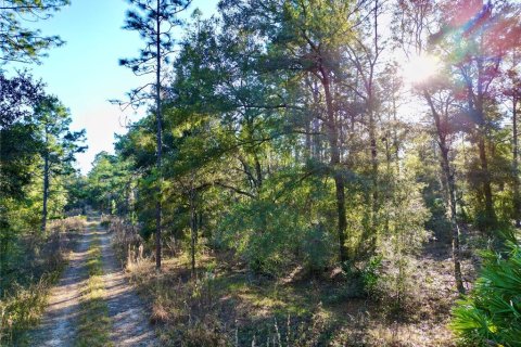 Terreno en venta en Ocala, Florida № 1719853 - foto 3