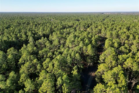 Terreno en venta en Ocala, Florida № 1719853 - foto 9