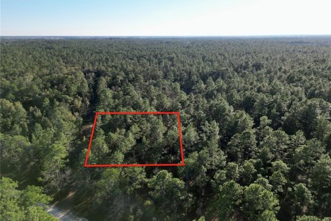 Terreno en venta en Ocala, Florida № 1719853 - foto 5