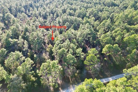 Terreno en venta en Ocala, Florida № 1719853 - foto 4