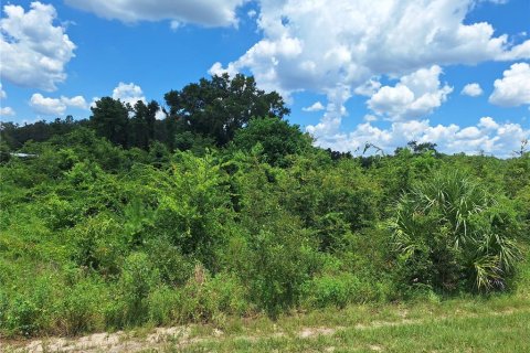 Land in Old Town, Florida № 1851660 - photo 3