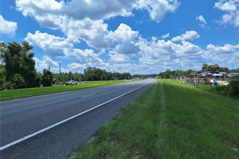 Land in Old Town, Florida № 1851660 - photo 2