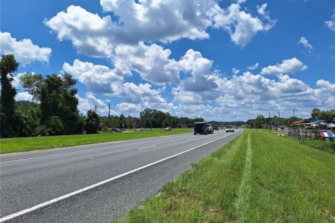 Land in Old Town, Florida № 1851660 - photo 5