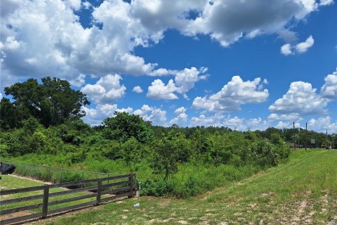 Land in Old Town, Florida № 1851660 - photo 4
