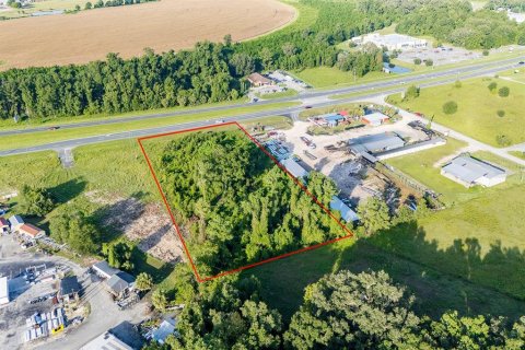 Land in Old Town, Florida № 1851660 - photo 8