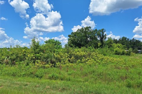 Land in Old Town, Florida № 1851660 - photo 7