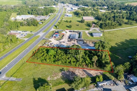 Land in Old Town, Florida № 1851660 - photo 9