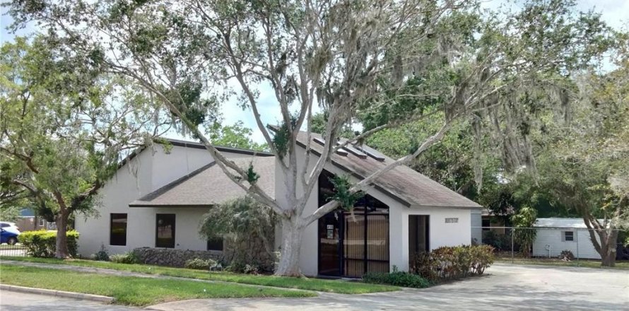 Immobilier commercial à Lake Wales, Floride 161.84 m2 № 2318546
