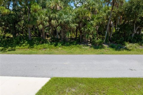 Land in North Port, Florida № 2164465 - photo 5
