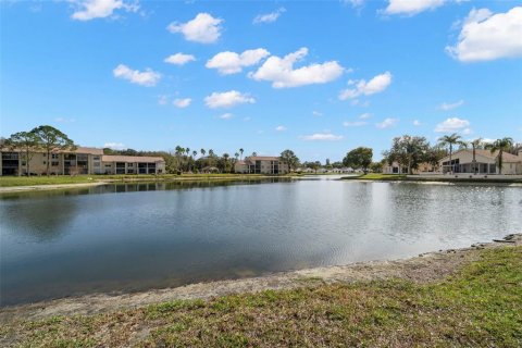 Condo in New Port Richey, Florida, 2 bedrooms  № 1886287 - photo 15