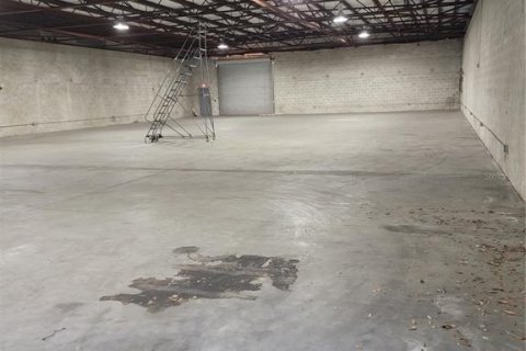Immobilier commercial à louer à Venice, Floride: 2916.11 m2 № 2214270 - photo 2