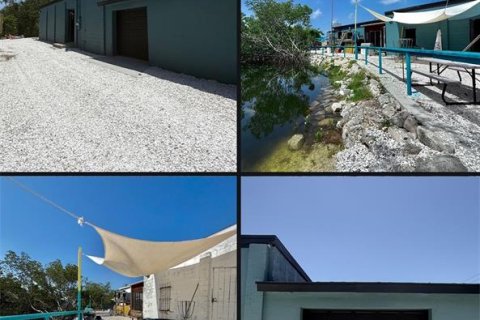 Immobilier commercial à vendre à Saint Petersburg, Floride: 956.89 m2 № 1832128 - photo 3