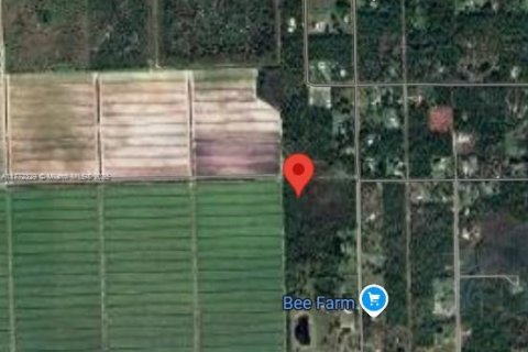 Land in Clewiston, Florida № 1692838 - photo 1