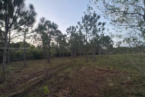 Land in Clewiston, Florida № 1692838 - photo 7