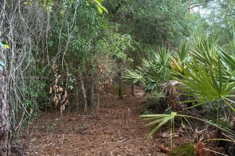 Land in Clewiston, Florida № 1692838 - photo 3