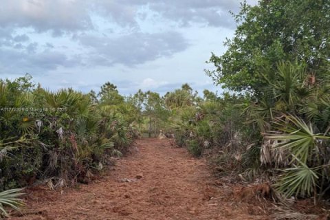 Land in Clewiston, Florida № 1692838 - photo 4