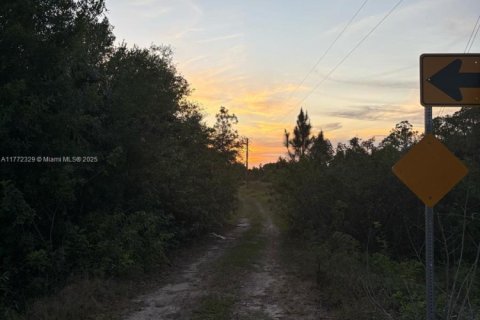 Land in Clewiston, Florida № 1692838 - photo 2