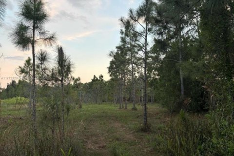 Land in Clewiston, Florida № 1692838 - photo 5