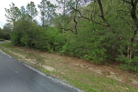 Land in Hernando, Florida № 2206144 - photo 2