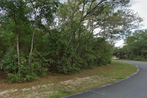 Land in Hernando, Florida № 2206144 - photo 3