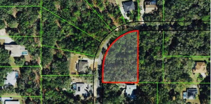 Land in Hernando, Florida № 2206144