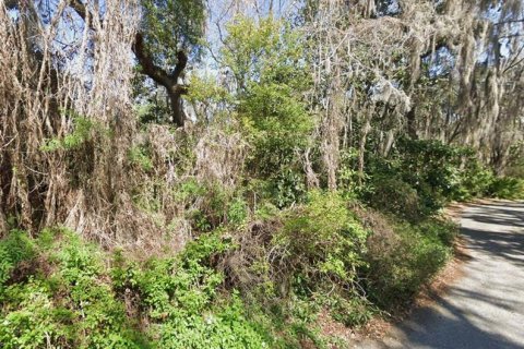 Land in Fleming Island, Florida № 2109651 - photo 10