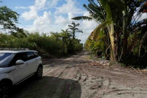 Immobilier commercial à Miami-Dade, Floride № 2089115