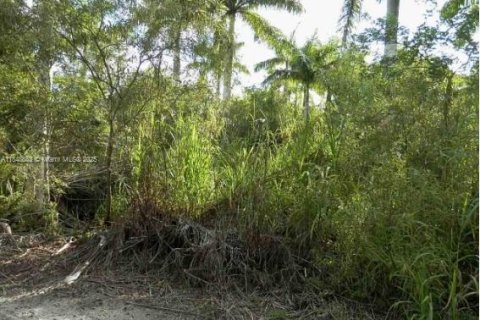 Propiedad comercial en venta en Miami-Dade, Florida № 2089115 - foto 3