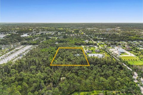Land in Fort Myers, Florida № 1898581 - photo 18