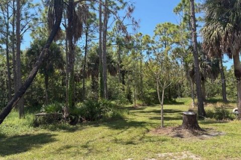 Land in Fort Myers, Florida № 1898581 - photo 5