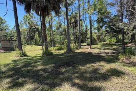 Land in Fort Myers, Florida № 1898581 - photo 8